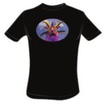Jester For Jesus - Plain No Text - Xtra Large t-shirt